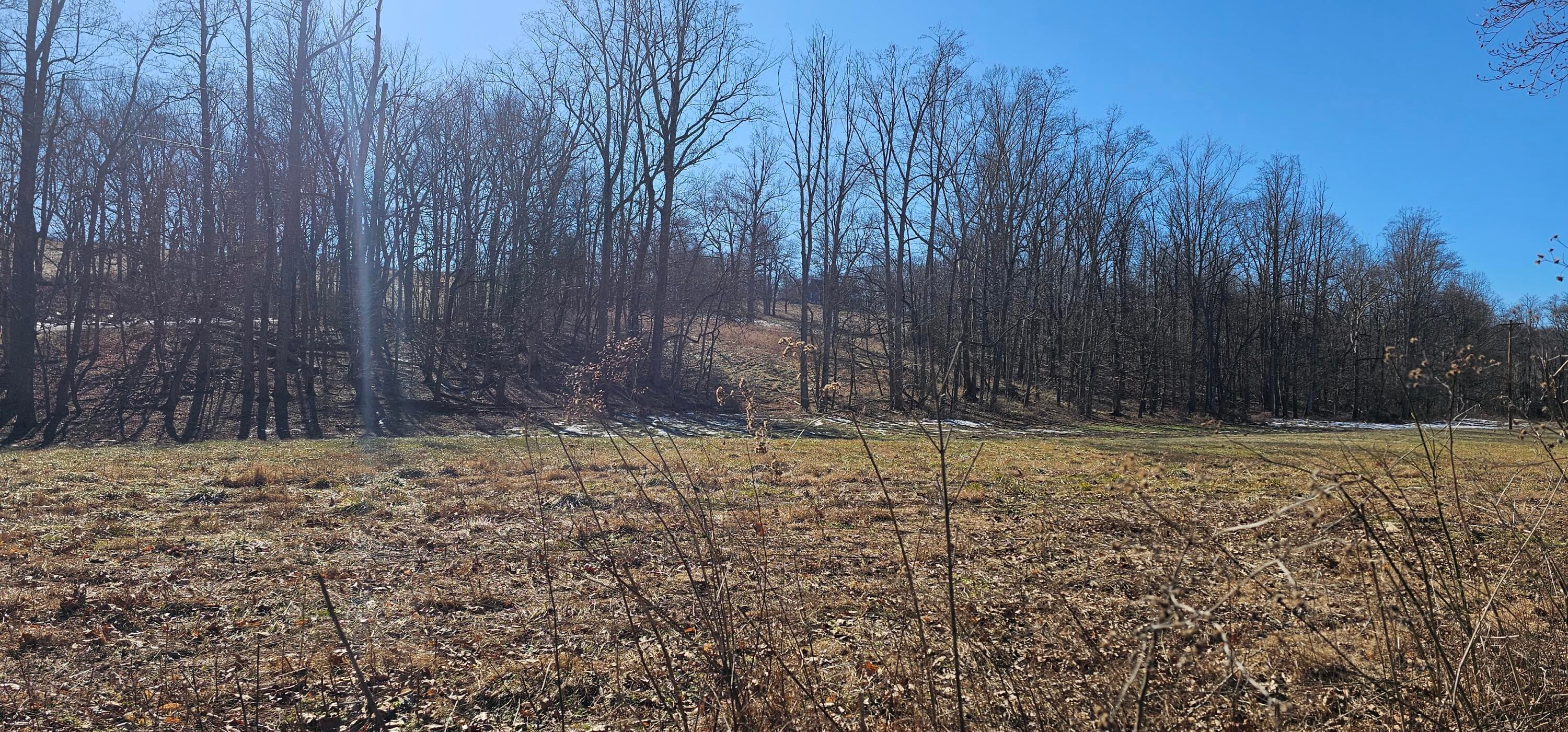 121314 Gilberts Creek Road, Lawrenceburg, KY 40342