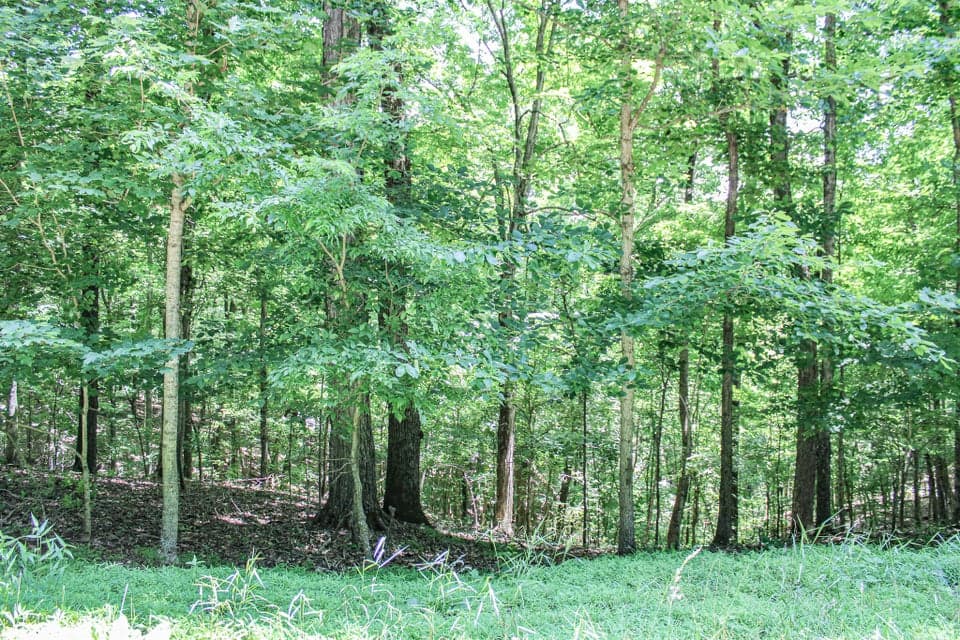 0 Algonquin Road, Eddyville, KY 42038