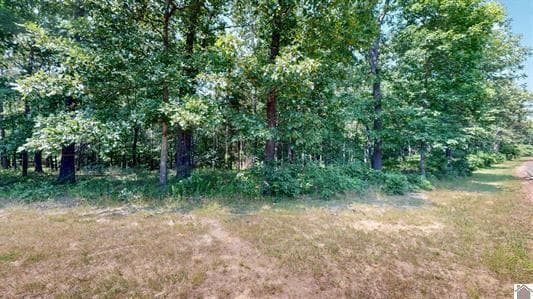 00 Streetland Lane Lot 90, Murray, KY 42071