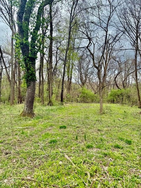 4091 Akin Lane, Burlington, KY 41005