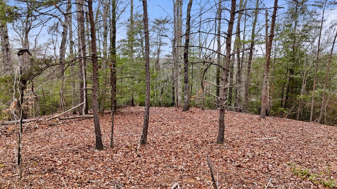 235 Eureka Road, Zoe, KY 41397