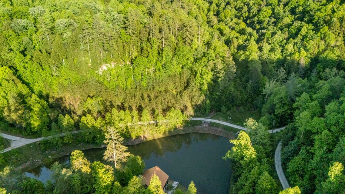 lot 44 Paradise Valley Retreat 44, Rogers, KY 41365