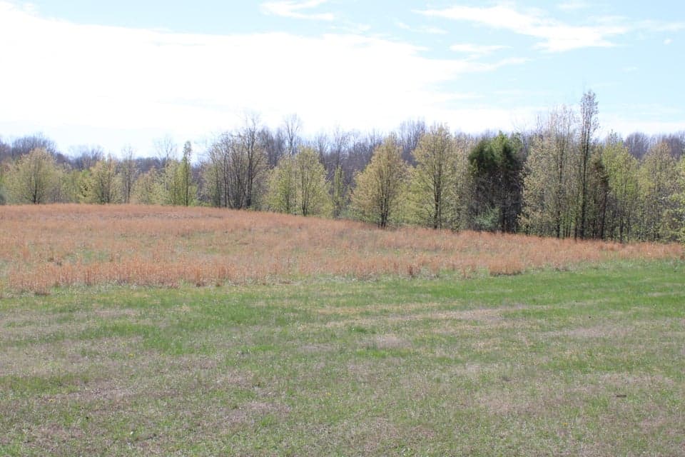 21A1-H-1 Beech Street, Kuttawa, KY 42055
