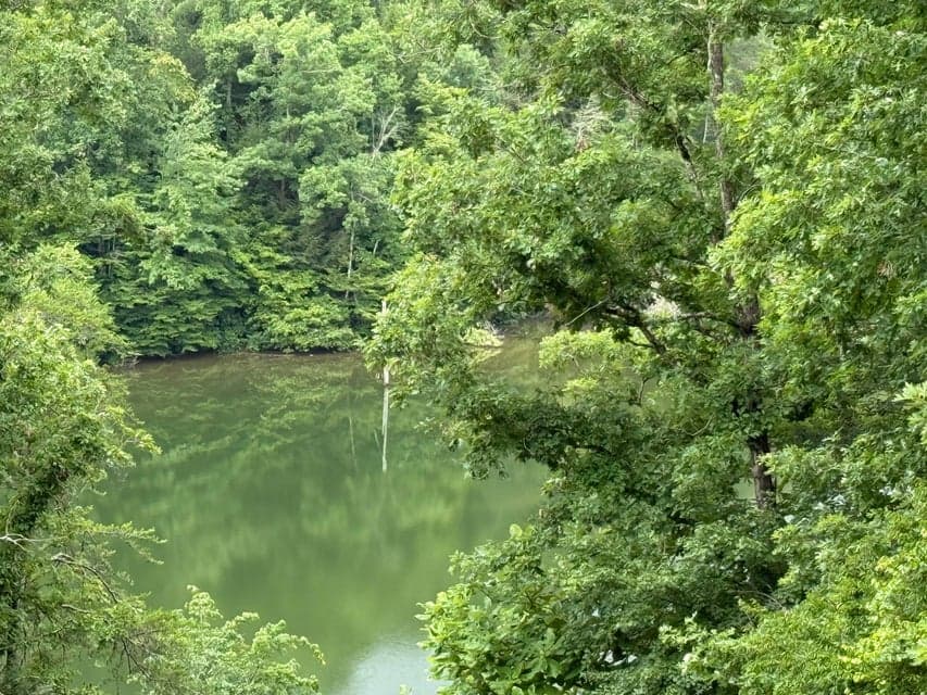 Lots 21 and 22 Laurel Cove Road, London, KY 40744