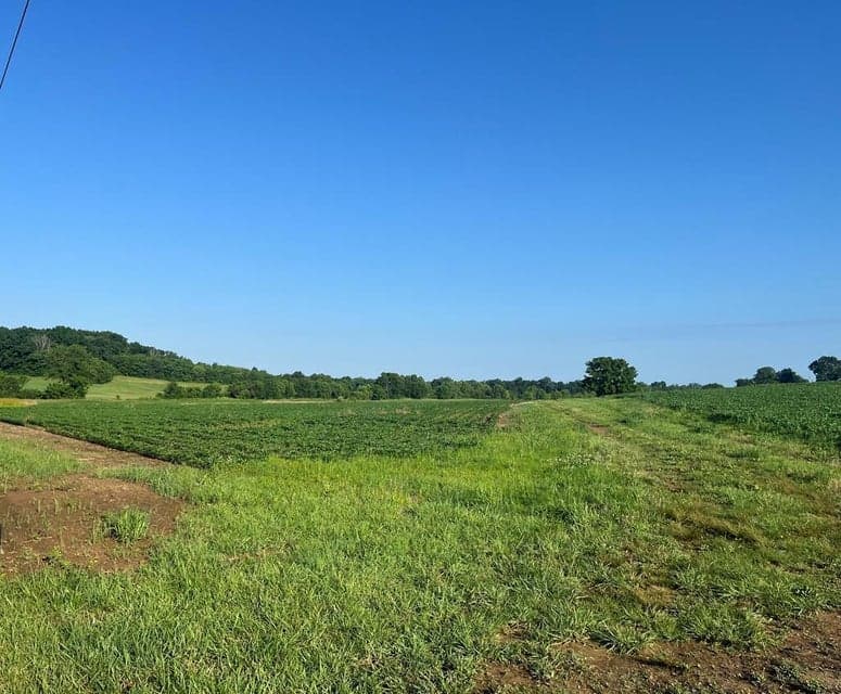2012 Eagle Way Byp Way, Hopkinsville, KY 42240