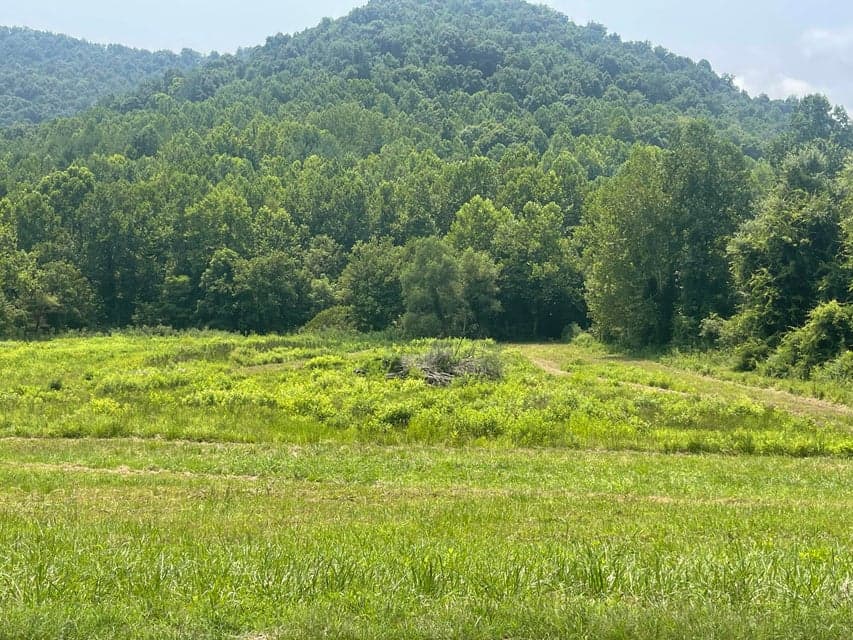 791 Moore Creek Road, Flat Lick, KY 40935