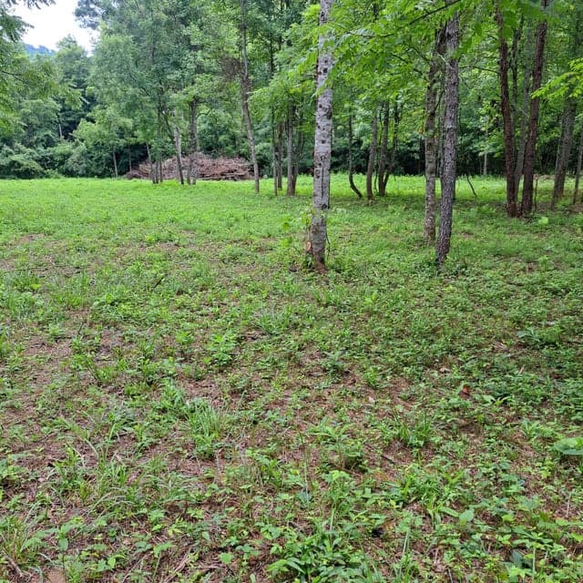 99 Jackson Road, Manchester, KY 40962