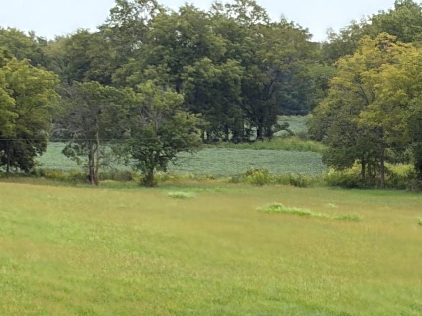 1873 Scotts Ferry Road, Versailles, KY 40383