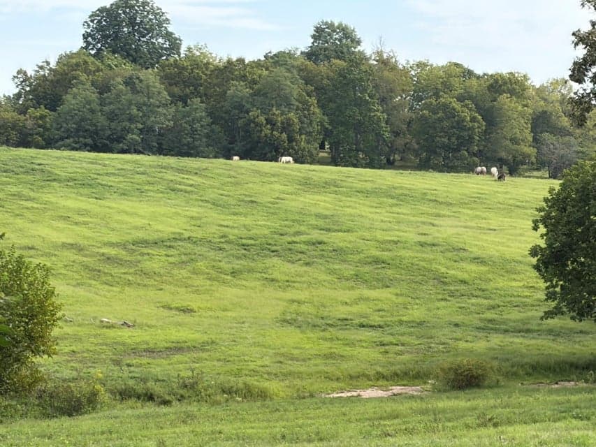 1061 Harrods Creek Road, Paris, KY 40361