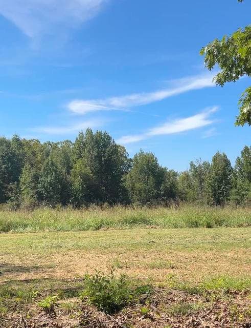 1040 Lin Moore Road, Lawrenceburg, KY 40342